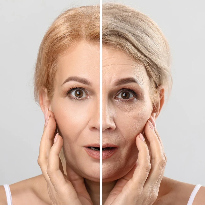 Nhiều thành phần có khả năng tái tạo da mạnh mẽ, giúp đẩy lùi lão hóa hiệu quả.